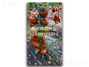 ��õ��F1-���ҷ��ѷN��-Ψ�r(n��ng)�N�I(y��)