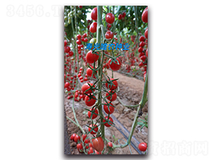 ����һ̖(h��o)F1-���ҷ��ѷN��-Ψ�r(n��ng)�N�I(y��)