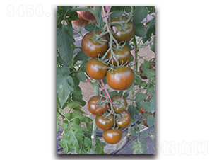 ���F��-���ҷ��ѷN��-Ψ�r(n��ng)�N�I(y��)