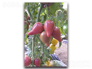 ��â��-���ҷ��ѷN��-Ψ�r(n��ng)�N�I(y��)