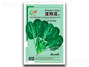 ��˹��-���˷N��-����