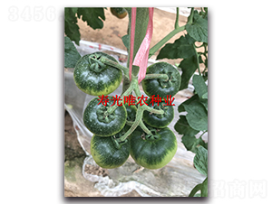 �M����4̖(h��o)-���ѷN��-Ψ�r(n��ng)�N�I(y��)