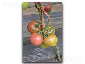 �F��807-���ѷN��-Ψ�r(n��ng)�N�I(y��)