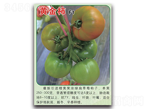 �S����-���ѷN��-Ψ�r(n��ng)�N�I(y��)