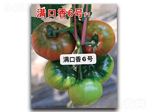 �M����6̖-���ѷN��-Ψ�r(n��ng)�N�I(y��)