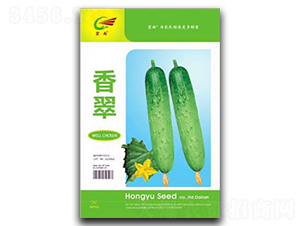 ���-�S�ϷN��-����