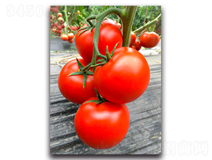 �W�m��F1-�t�����ѷN��-Ψ�r(n��ng)�N�I(y��)