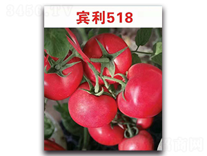 �e��518F1-�۹����ѷN��-Ψ�r(n��ng)�N�I(y��)