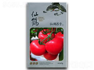 ���Q8̖-���ѷN��-����