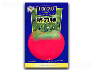 ������-���ѷN��-����