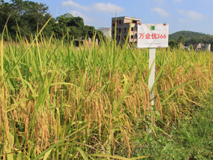 �f����(y��u)366-ˮ���N��-���N�I(y��)