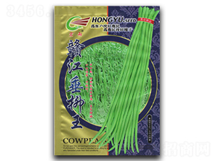 �M��������-�����N��-����