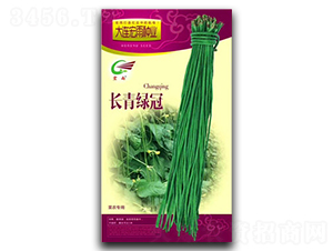 �L��v��-�����N��-����