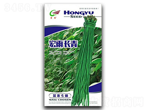 �����L��-�����N��-����