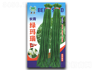 �L��G���-�����N��-����