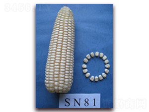 �K��Ŵ639̖(h��o)-Ŵ���׷N��-�к̷N�I(y��)