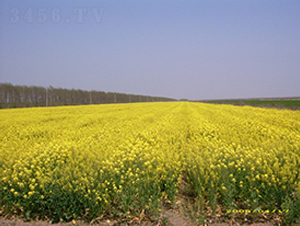 �؃�(y��u)7̖(h��o)-�Ͳ˷N��-�к̷N�I(y��)