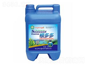 ̼ø�ך��غ��徫��sҺ-�����-�S�r(n��ng)��