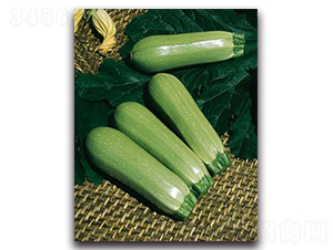 ����-�����J�N��-����