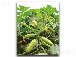 ����-�����J�N��-����