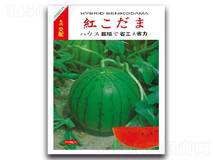 �tС��-���ϷN��-����