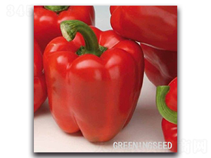 �|���t-�𽷷N��-����