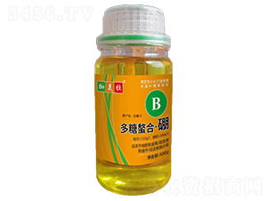 �������ϡ���-������