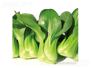 ����-�๣�˷N��-����