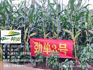 �ņ�3̖-���׷N��-��һ�N�I(y��)