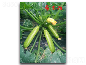 ϣ���D-�����J�N��-�r(n��ng)���r(n��ng)�I(y��)