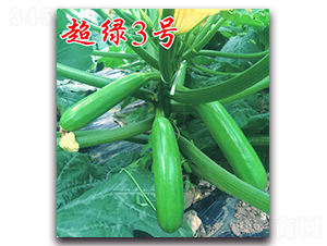 ���G3̖-�����J�N��-�r(n��ng)���r(n��ng)�I(y��)