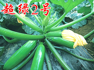 ���G2̖-�����J�N��-�r(n��ng)���r(n��ng)�I(y��)