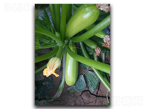 Խ���ͺ������J�N��-�r(n��ng)���r(n��ng)�I(y��)