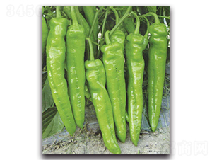 ����1̖-�����N��-�r(n��ng)���r(n��ng)�I(y��)