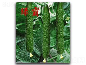 �G��-�S�ϷN��-�r���r�I(y��)