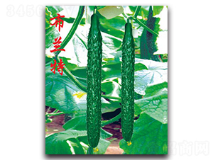 ���m��-�S�ϷN��-�r(n��ng)���r(n��ng)�I(y��)