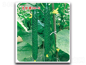 �����20-5-�S�ϷN��-�Є�(chu��ng)���S