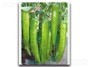 ����668-�����N��-�Є�(chu��ng)���S