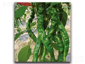 �\�һ̖-�����N��-�Є�(chu��ng)���S