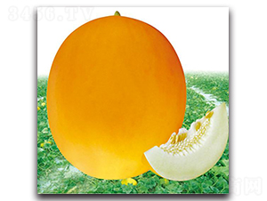 �t��-��ϷN��-�Є�(chu��ng)���S