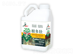 �����������缤�-ʩ����-�r(n��ng)�