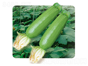 ����-�����J�N��-�Є�(chu��ng)���S