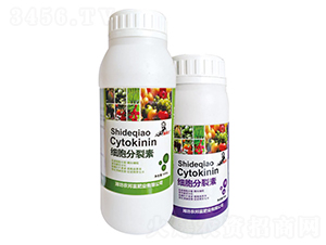 ��(x��)��������-�r(n��ng)� 