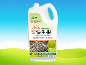 ���������-�n��ʘI(y��)