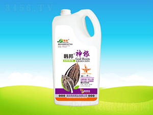 �n�����-�n��ʘI(y��)