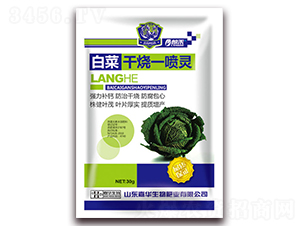 �ײ˸ɟ�һ���`-�ʺ�-���A����