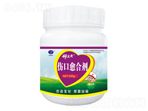 �������τ�-�ִ��-�r(n��ng)�_����