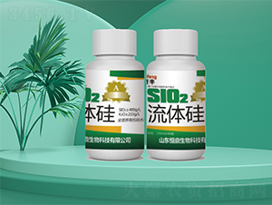 ���w��-�㶦����