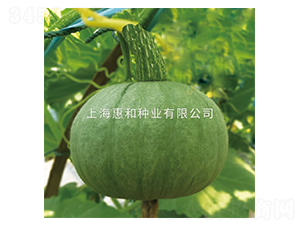 �y����-�ϹϷN��-�ݺͷN�I(y��)