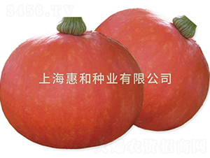 �t��-�ϹϷN��-�ݺͷN�I(y��)